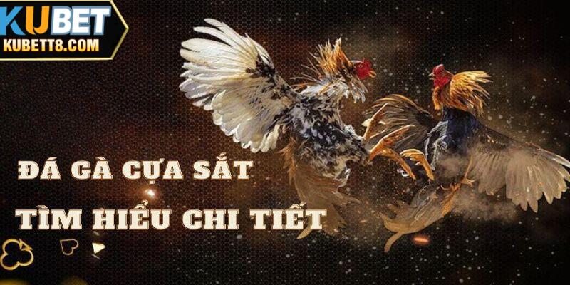 Làm rõ khái niệm đá gà cựa sắt là gì